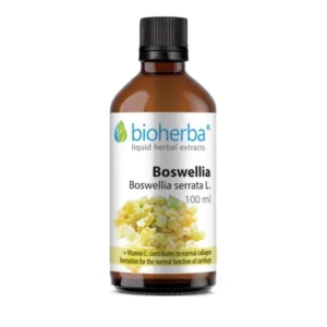 BH Boswellia 100ml