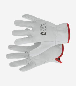 Driver L-2N